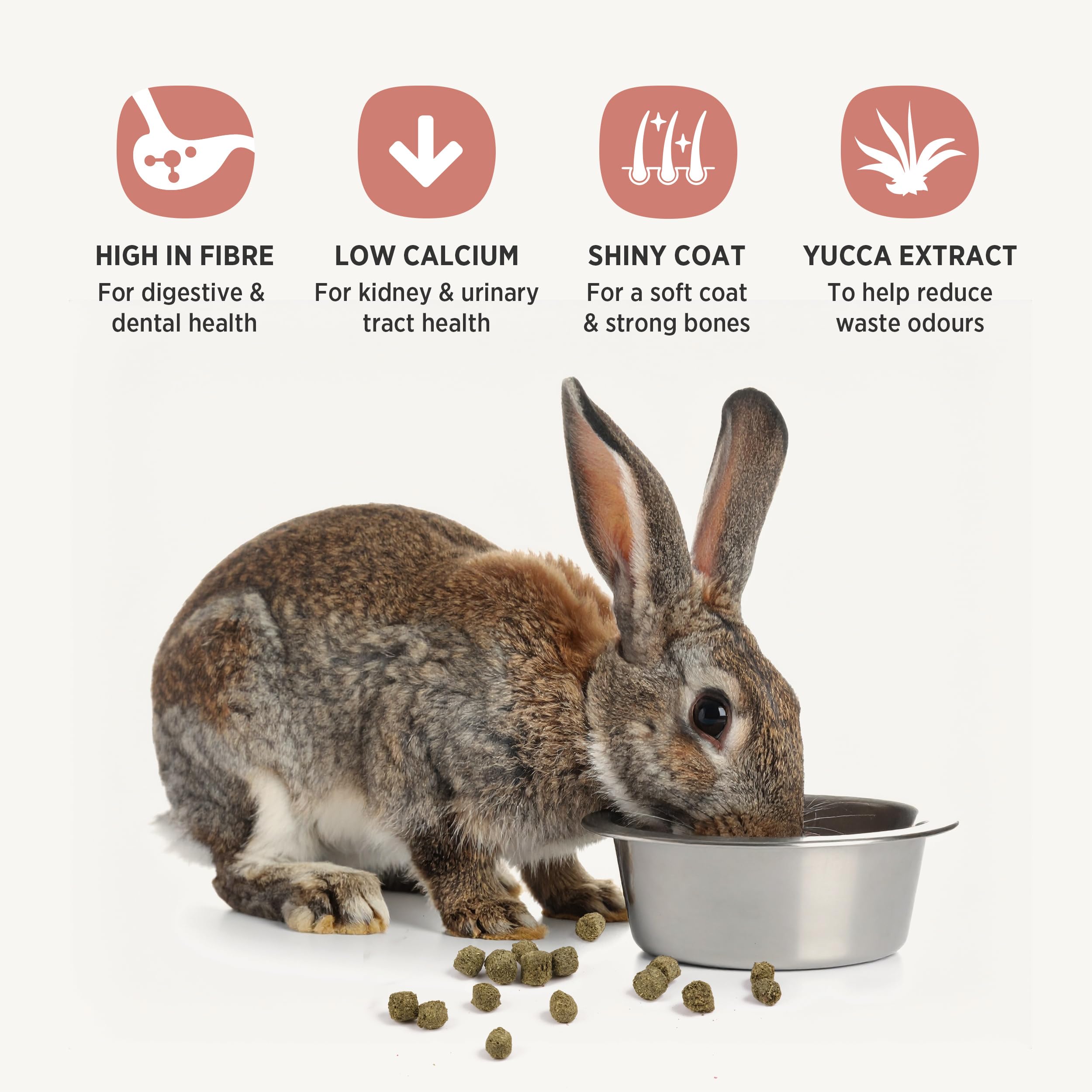 Living World Canadian Extrusion Rabbit Food - 1.4kg 🍁 All In One Marketplace Canada