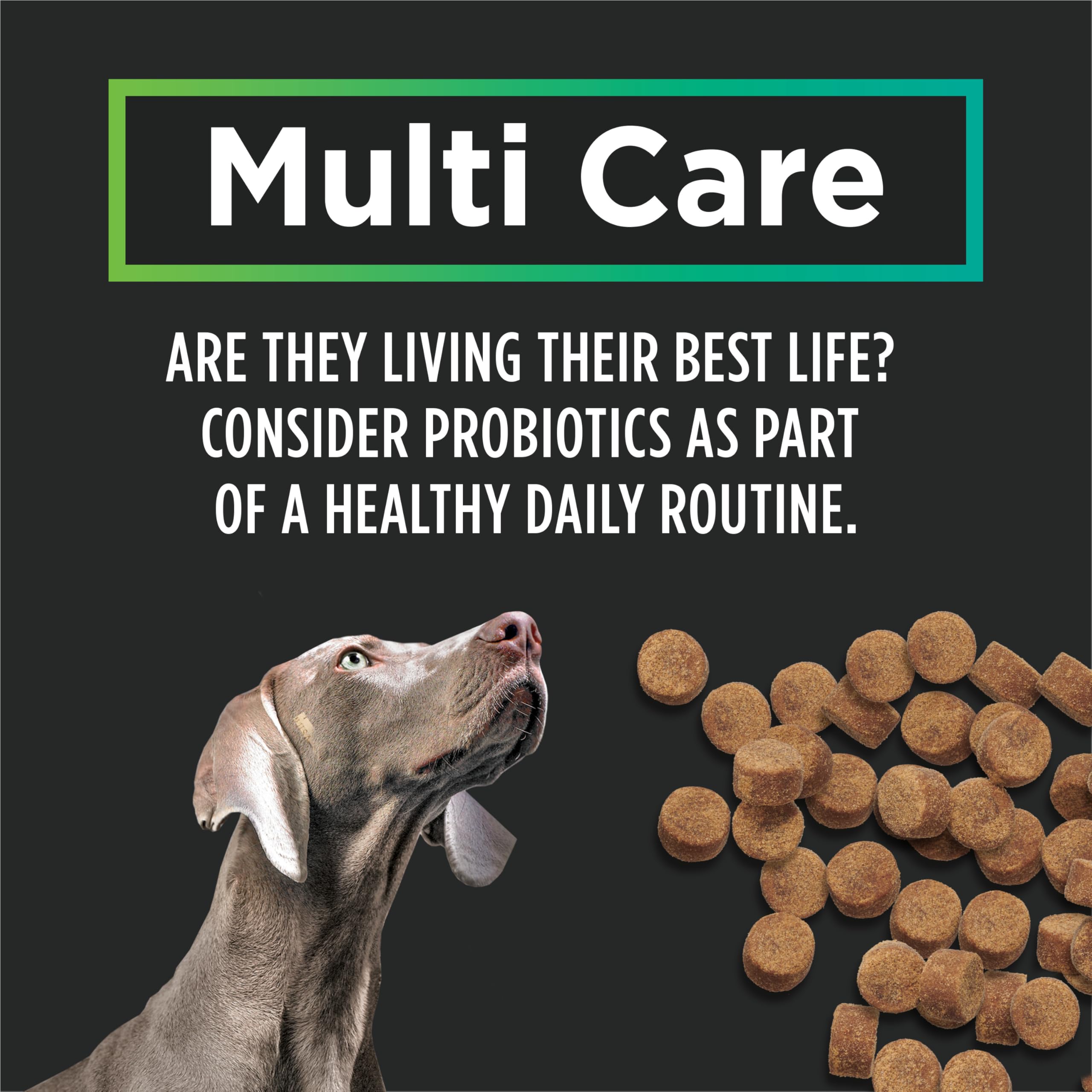 Purina Pro Plan Veterinary Supplements, Mutli Care Dog Chew Probiotic - 300 g (60 Chews) 🍁 All In One Marketplace Canada