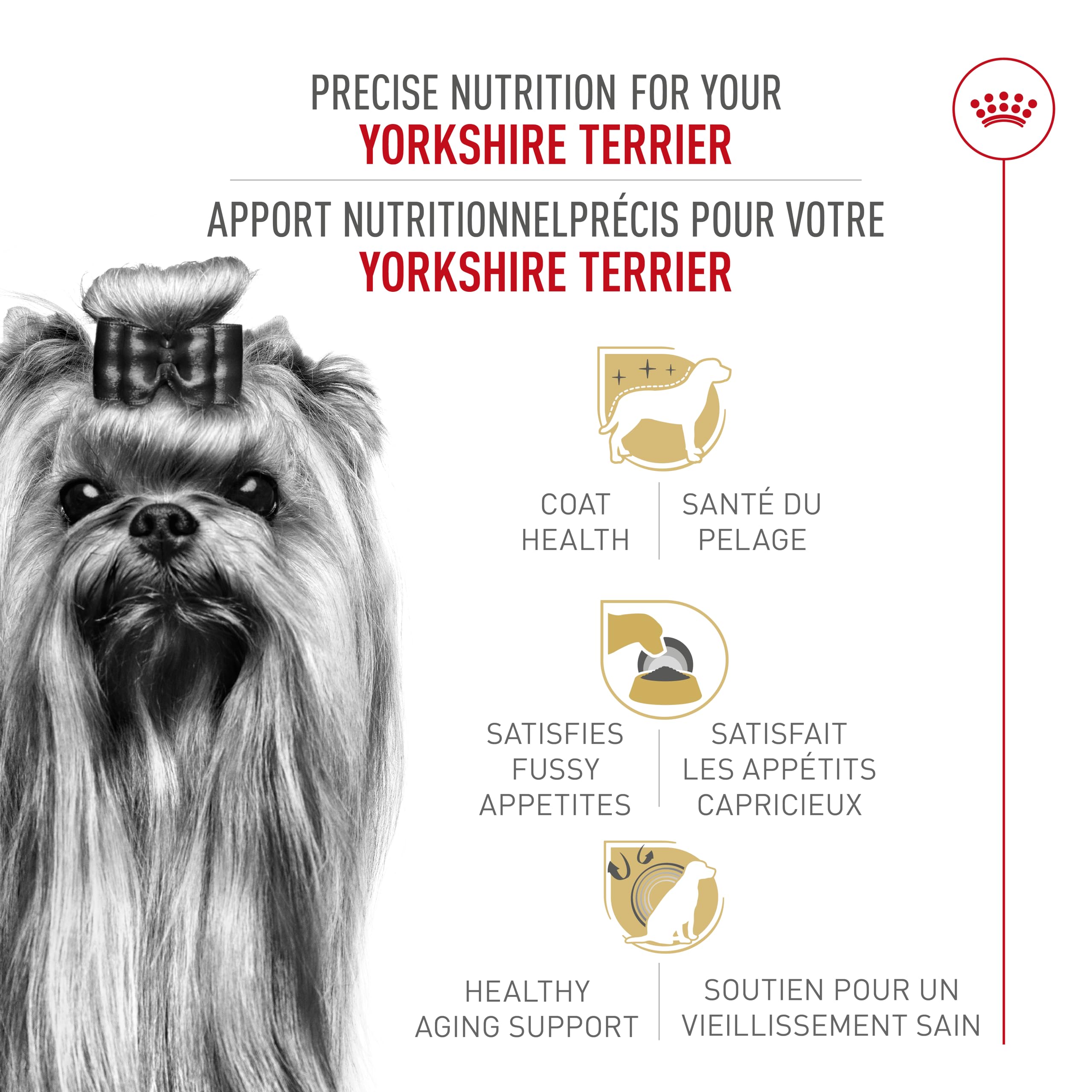 Royal Canin Yorkshire Terrier Adult Dry Dog Food, 10 lb bag 🍁 All In One Marketplace Canada
