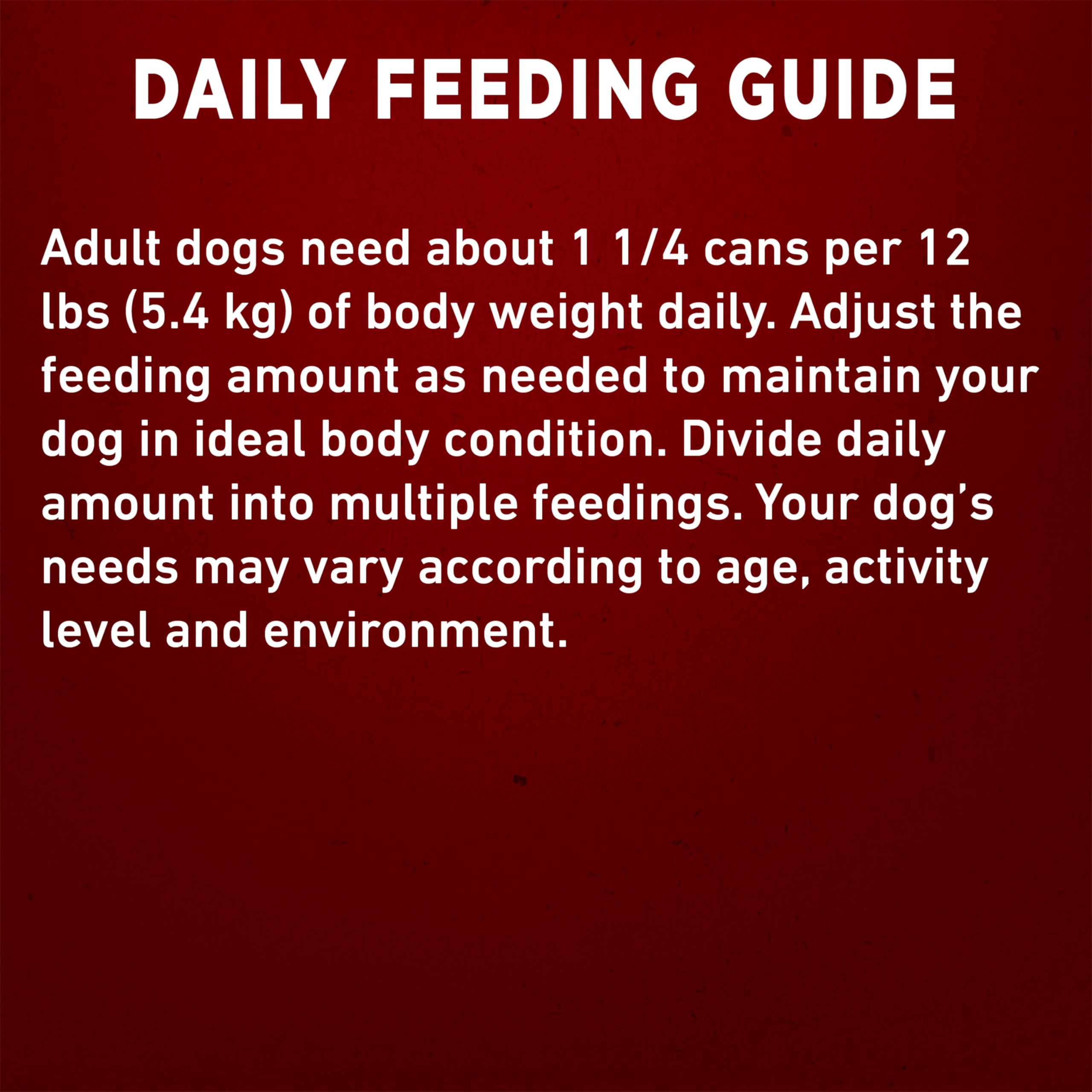 Purina ONE Wet Dog Food, Tender Cuts in Gravy Lamb & Rice 368g (12 Pack) 🍁 All In One Marketplace Canada