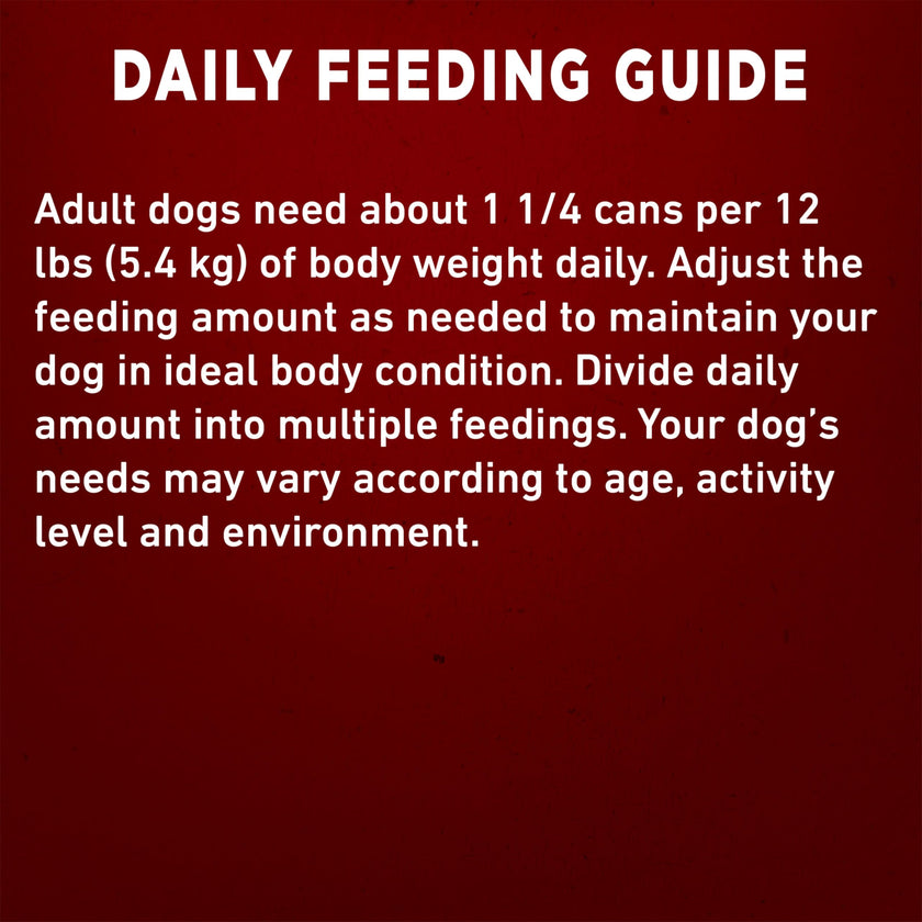 Purina ONE Wet Dog Food, Tender Cuts in Gravy Lamb & Rice 368g (12 Pack) 🍁 All In One Marketplace Canada