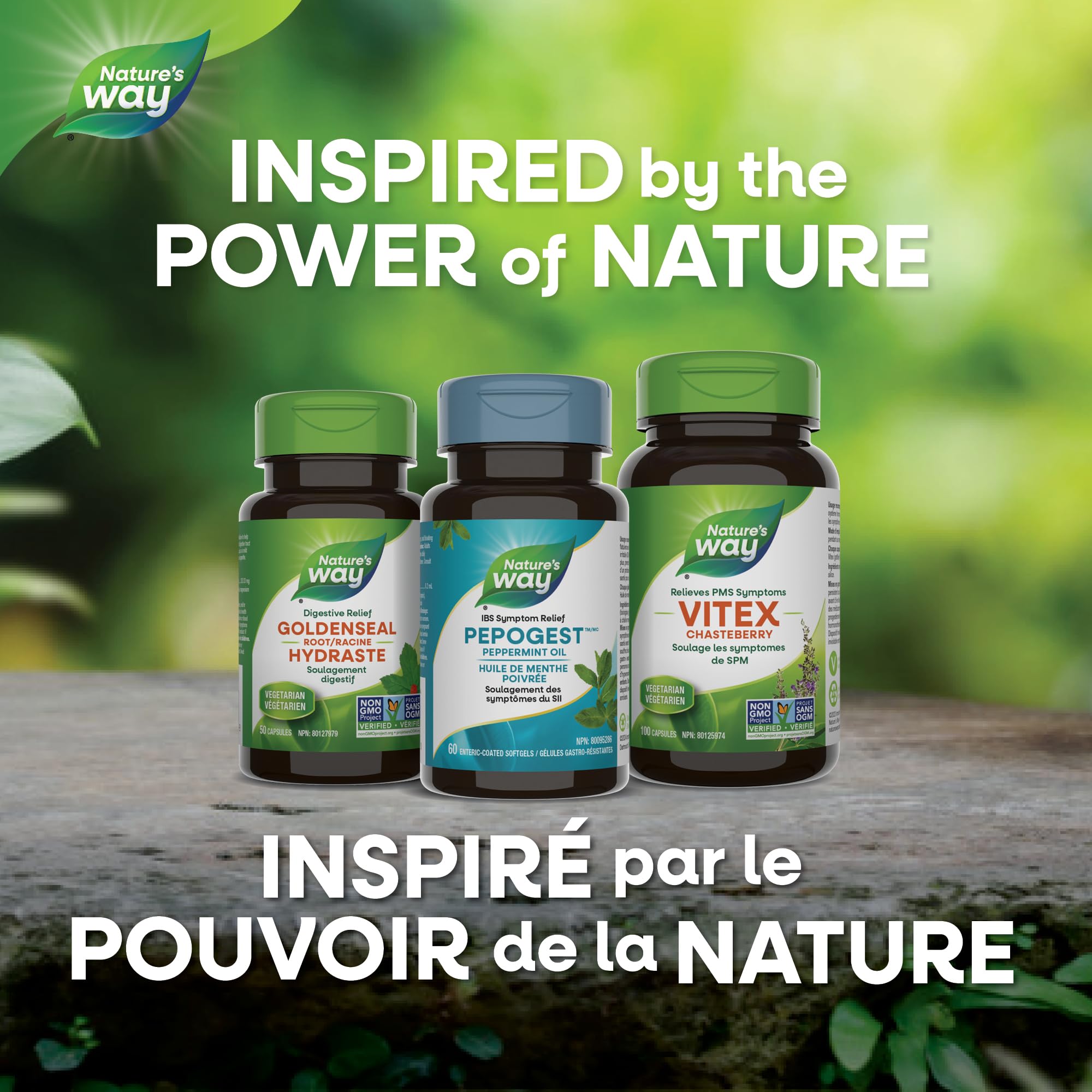 Nature’s Way Pepogest Peppermint Oil Softgels – Help Relieve Abdominal Pain, Gas & Bloating Associated with Irritable Bowel Syndrome – Enteric-Coated – 60 Capsules 🍁 All In One Marketplace Canada