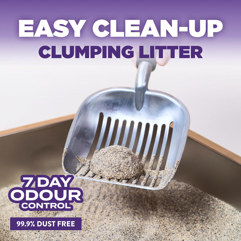 Arm & Hammer Slide Clumping Cat Litter, Multi-Cat Clay, Effortless Clean, 7-Day Odour Control, Dust-Free, Low-Tracking, Rock-Hard Clumps, Baking Soda Power, 12.7 kg 🍁 All In One Marketplace Canada