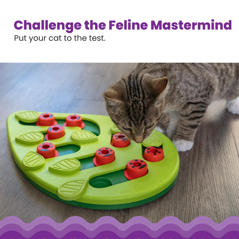 Catstages Buggin' Out Puzzle & Play, Interactive Treat Puzzle Cat Toy, Green 🍁 All In One Marketplace Canada