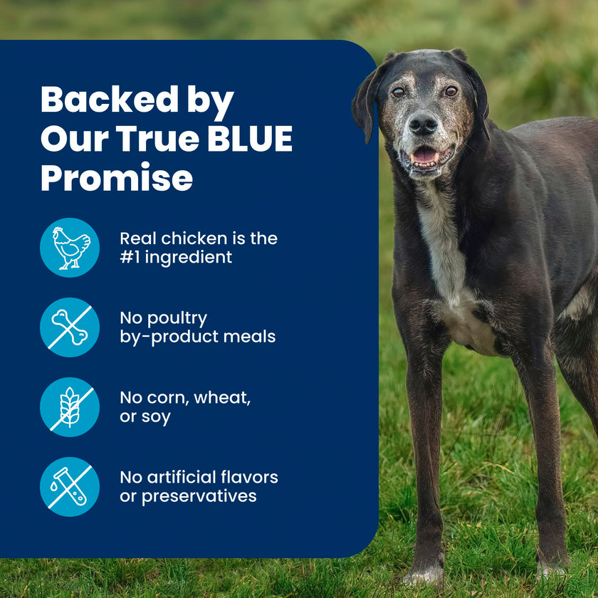 Blue Buffalo Life Protection Formula Large Breed Adult Dry Dog Food, Promotes Joint Health and Lean Muscles, Made with Natural Ingredients, Chicken & Brown Rice Recipe,11.7kg/26 lbs 🍁 All In One Marketplace Canada