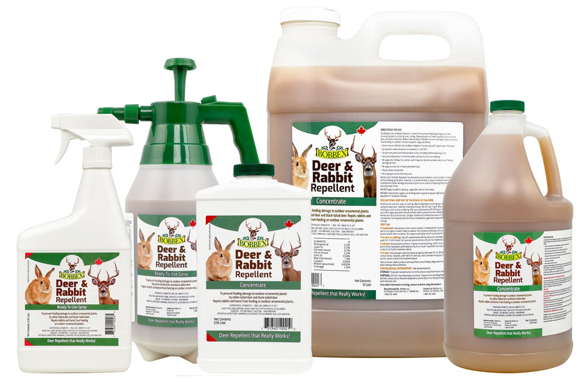 Bobbex Deer & Rabbit Repellent Ready to Use 1.42 Liter 🍁 All In One Marketplace Canada