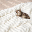 Bedsure Throw Blankets Room Decor - Women Birthday Gift, Soft Fluffy Fleece Cozy Fuzzy Plush Warm White Blanket for Couch Sofa Bed, Bedroom Livingroom Decor, Gifts for Friends, 50x60 🍁 All In One Marketplace Canada