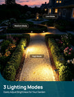 Linkind Solar Lights Outdoor Waterproof IP67, StarRay Dusk-to-Dawn Outdoor Solar Lights, 3 Lighting Modes Solar Spot Lights Outdoor for Garden, Yard, Landscape (Warm White, 4 Pack) 🍁 All In One Marketplace Canada