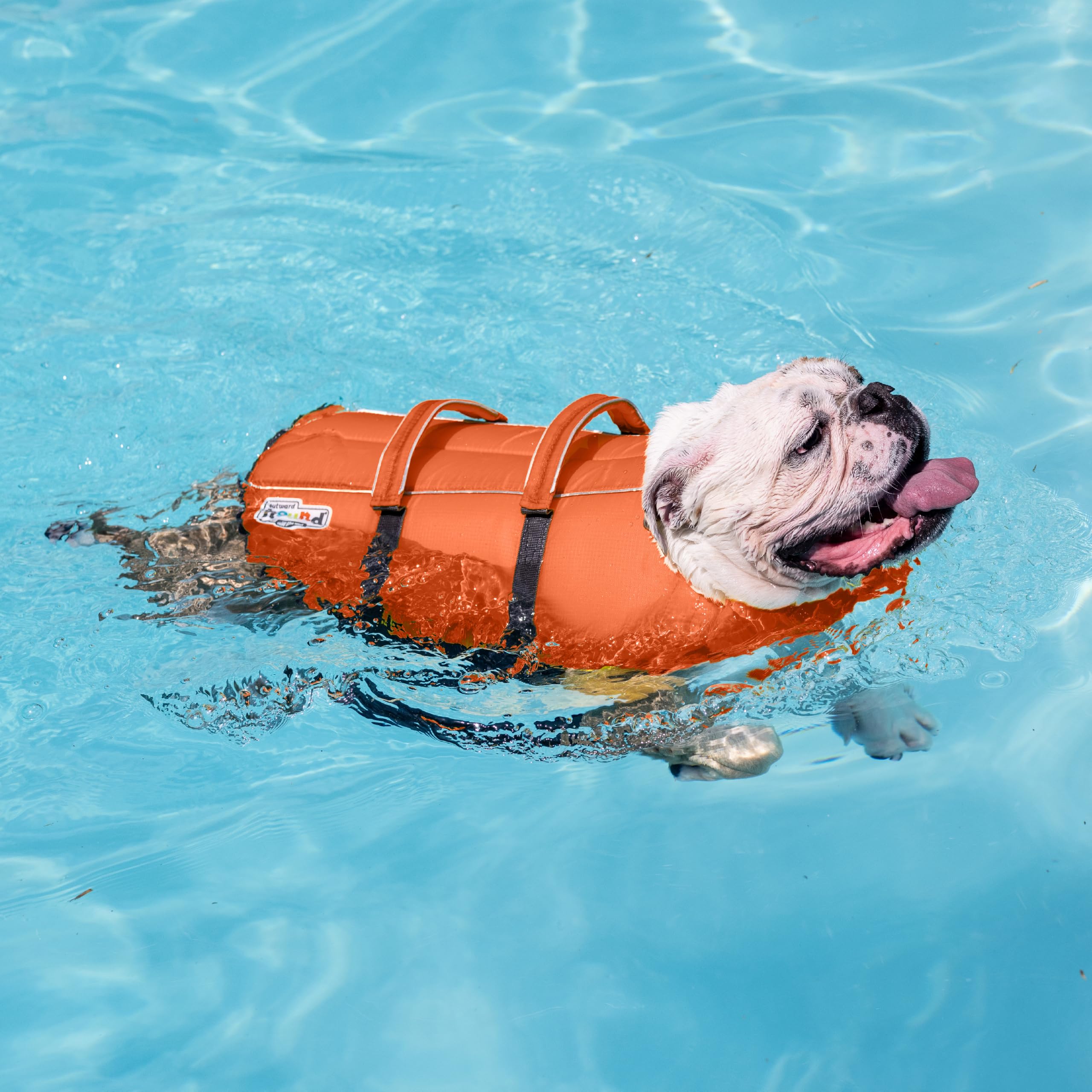 Outward Hound Granby Splash Dog Life Jacket with Handle, Reflective Floating Vest for Swimming & Boating, Maximum Buoyancy, All Skill Levels, Extra-Small Dogs & Puppies (11–15