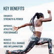 Organika Canadian-Made Creatine Capsules- Pure Micronized Creatine Monohydrate - Helps Build Lean Muscle, Increase Strength, and Improved Recovery and Performance for Men and Women- 300vcaps 🍁 All In One Marketplace Canada