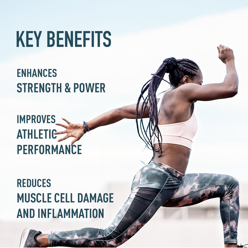 Organika Canadian-Made Creatine Capsules- Pure Micronized Creatine Monohydrate - Helps Build Lean Muscle, Increase Strength, and Improved Recovery and Performance for Men and Women- 300vcaps 🍁 All In One Marketplace Canada