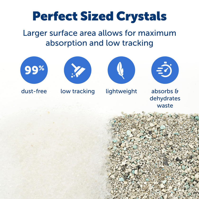 PetSafe ScoopFree Sensitive Non-Clumping Crystal Cat Litter, Fragrance-Free - Superior Odor Control – Low Tracking for Less Mess – Lasts Up to 1 Month, 8.6 Lbs Total (2 Pack of 4.3 Lb Bags) 🍁 All In One Marketplace Canada