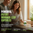 Nutrawave ORGANIC MORINGA LEAF Capsules 1200mg High Potency (2 x 600mg) – Gluten Free, Non-GMO, Vegan-Friendly Antioxidant Supplement -120 Capsules 🍁 All In One Marketplace Canada