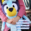 Bluey 18