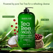 MAJESTIC PURE Tea Tree Body Wash with Collagen - Helps Nail Fungus, Athletes Foot, Ringworms, Jock Itch, Acne, Eczema & Body Odor - Soothes Itching - (Packaging May Vary), 16 fl oz 🍁 All In One Marketplace Canada