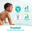 Pampers Baby Wipes Sensitive Perfume Free 12X Pop-Top Packs, 1 Pack (Count of 1008) 🍁 All In One Marketplace Canada