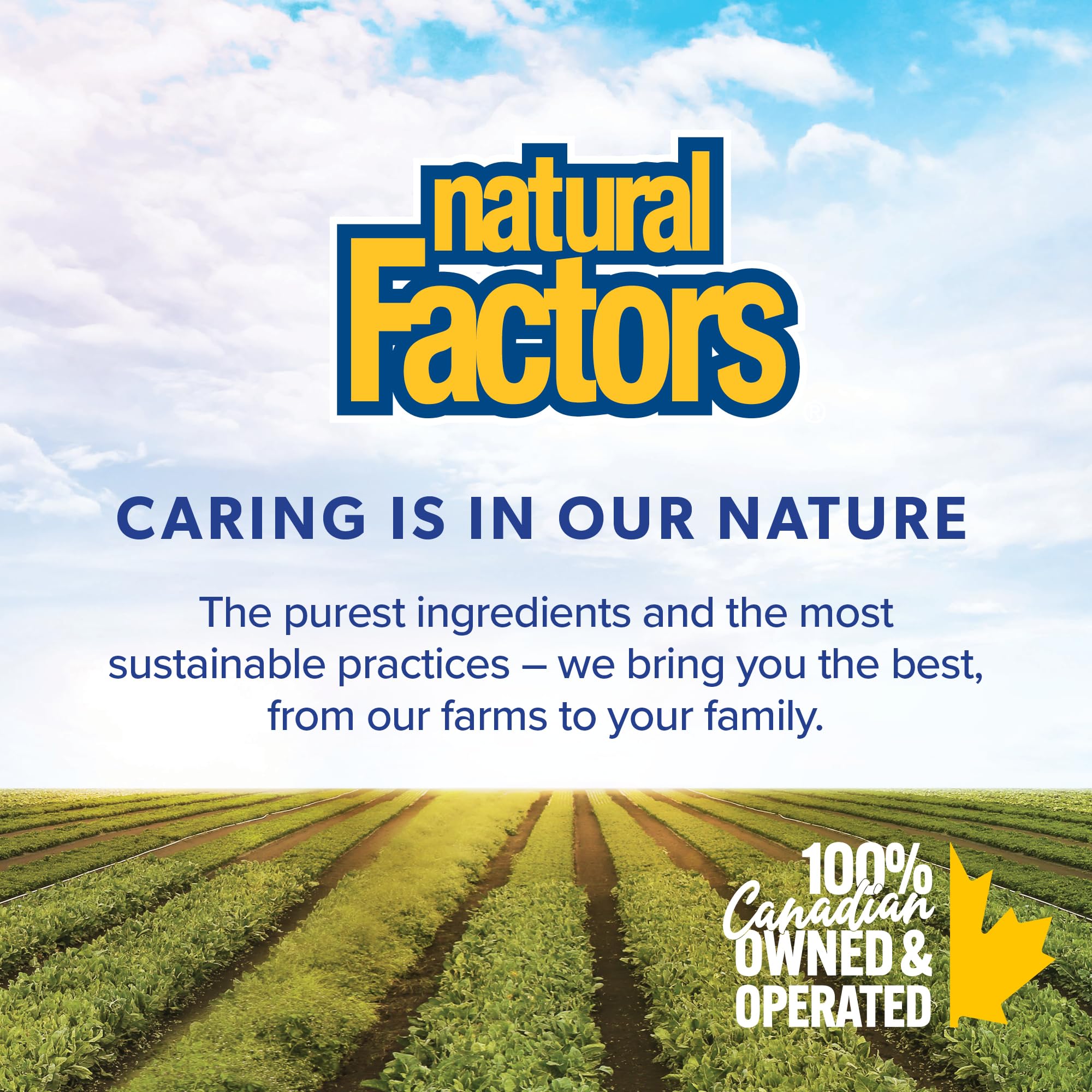 Natural Factors Stress Relax Mental Calmness, 120 Chewable Tablets, Tropical Fruit Flavour, Suntheanine L Theanine 100 mg, Promotes Deep Relaxation, Stress Relief, Proudly Canadian 🍁 All In One Marketplace Canada