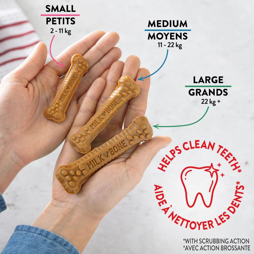 Milk-Bone Brushing Chews Dental Dog Treats, Chicken Flavour Dental Chew, Helps Clean Teeth and Reduce Bad Breath, For Medium Dogs, 45 Treats (Pack of 1) 🍁 All In One Marketplace Canada