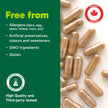Organika Beef Liver Plus Choline- Sourced from Grass-Fed + Finished Cattle, Pasture Raised, High in Vitamins and Minerals, Supports Liver Function, Energy Levels, and Immunity- 90caps 🍁 All In One Marketplace Canada