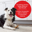 Milk-Bone Brushing Chews Dental Dog Treats, Chicken Flavour Dental Chew, Helps Clean Teeth and Reduce Bad Breath, For Medium Dogs, 45 Treats (Pack of 1) 🍁 All In One Marketplace Canada