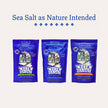 Celtic Sea Salt, Fine Ground, 16 Ounce 🍁 All In One Marketplace Canada