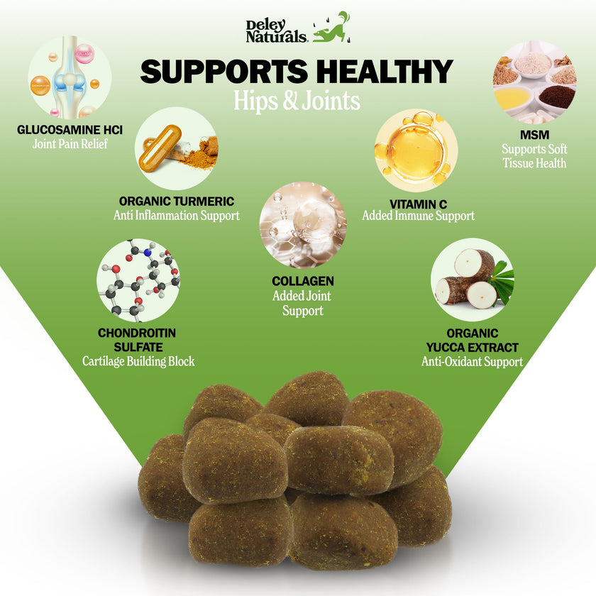 Deley Naturals Hip and Joint Supplement for Dogs - Glucosamine Chondroitin MSM & Collagen for Dogs - Dog Joint Supplement, Smaller Chews, Low Calories, Same Ingredients - 120 Chicken Flavor Chews 🍁 All In One Marketplace Canada