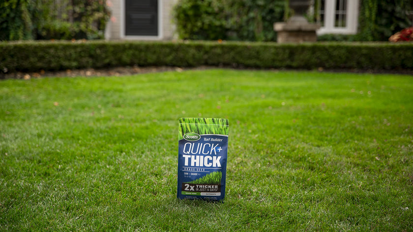 Scotts Turf Builder Quick + Thick Grass Seed (Sun and Shade Mix) - 4 kg |(576 sq Meters / 6,210 sq feet Coverage) Grow a Thick, Green Lawn Fast. for Areas that Experience Sun & Shade 🍁 All In One Marketplace Canada