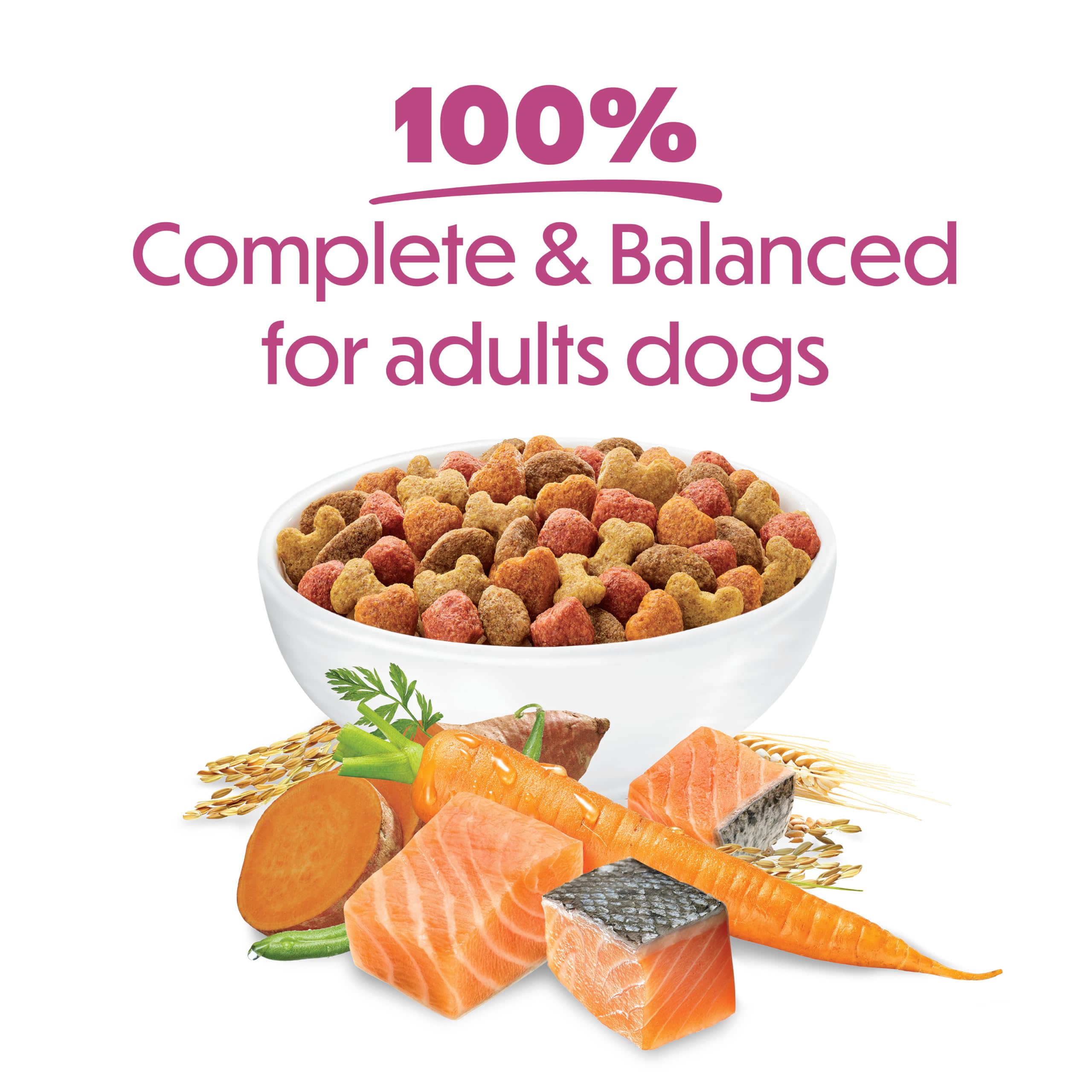 Beneful Originals Dry Dog Food, Real Salmon - 7 kg Bag 🍁 All In One Marketplace Canada