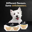CESAR Wholesome Bowls Adult Wet Dog Food, Chicken Flavour, 85g (6 Pack) 🍁 All In One Marketplace Canada