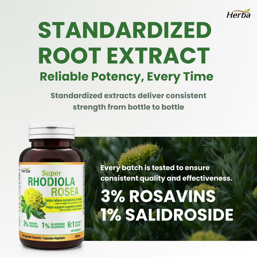 Herba Rhodiola Rosea Supplement 200mg - 90 Capsules | 6:1 Extract | Rhodiola Supplement with Min 3% Rosavins and 1% Salidrosides | Help Relieve Symptoms of Stress | Made in Canada 🍁 All In One Marketplace Canada