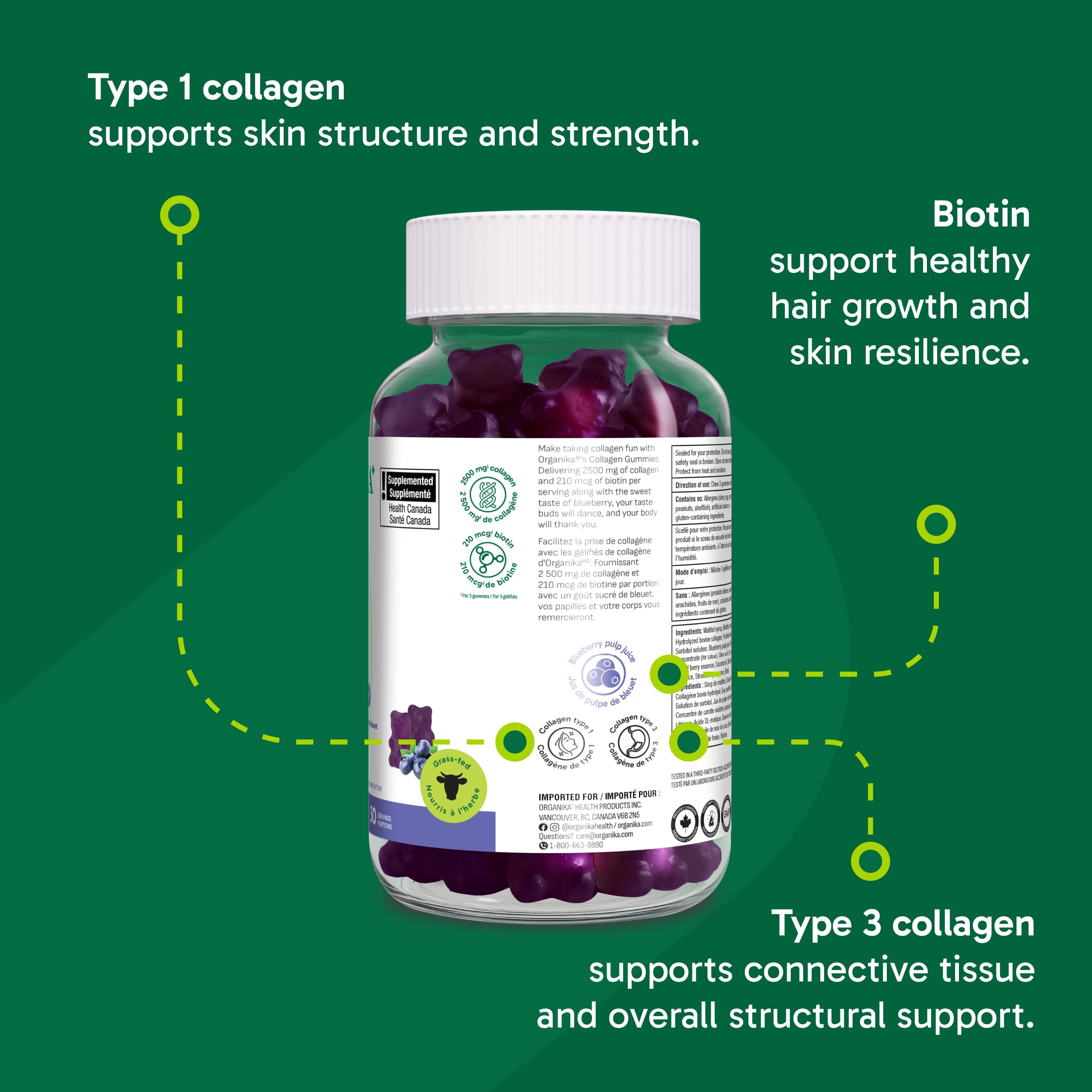 Organika Collagen Gummies with Biotin – 2500 mg Collagen Peptides Per Serving for Skin, Hair and Joint Health – Blueberry Bliss Flavour, Easy to Take – 90 Gummies 🍁 All In One Marketplace Canada