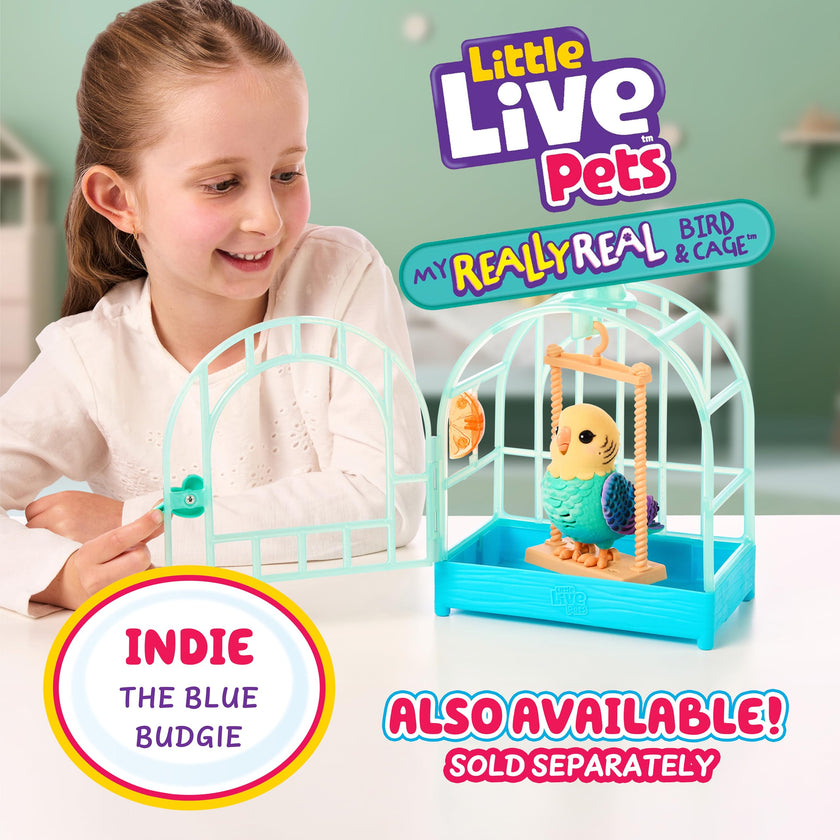 Little Live Pets My Really Real Bird & Cage - Rosie, Interactive, Realistic Pet, 20+ Sounds & Reactions (25cm/9,8in Cage, 10,9cm/4,3in Bird), Records & Repeats or Whistles Back, Carry & Display 🍁 All In One Marketplace Canada