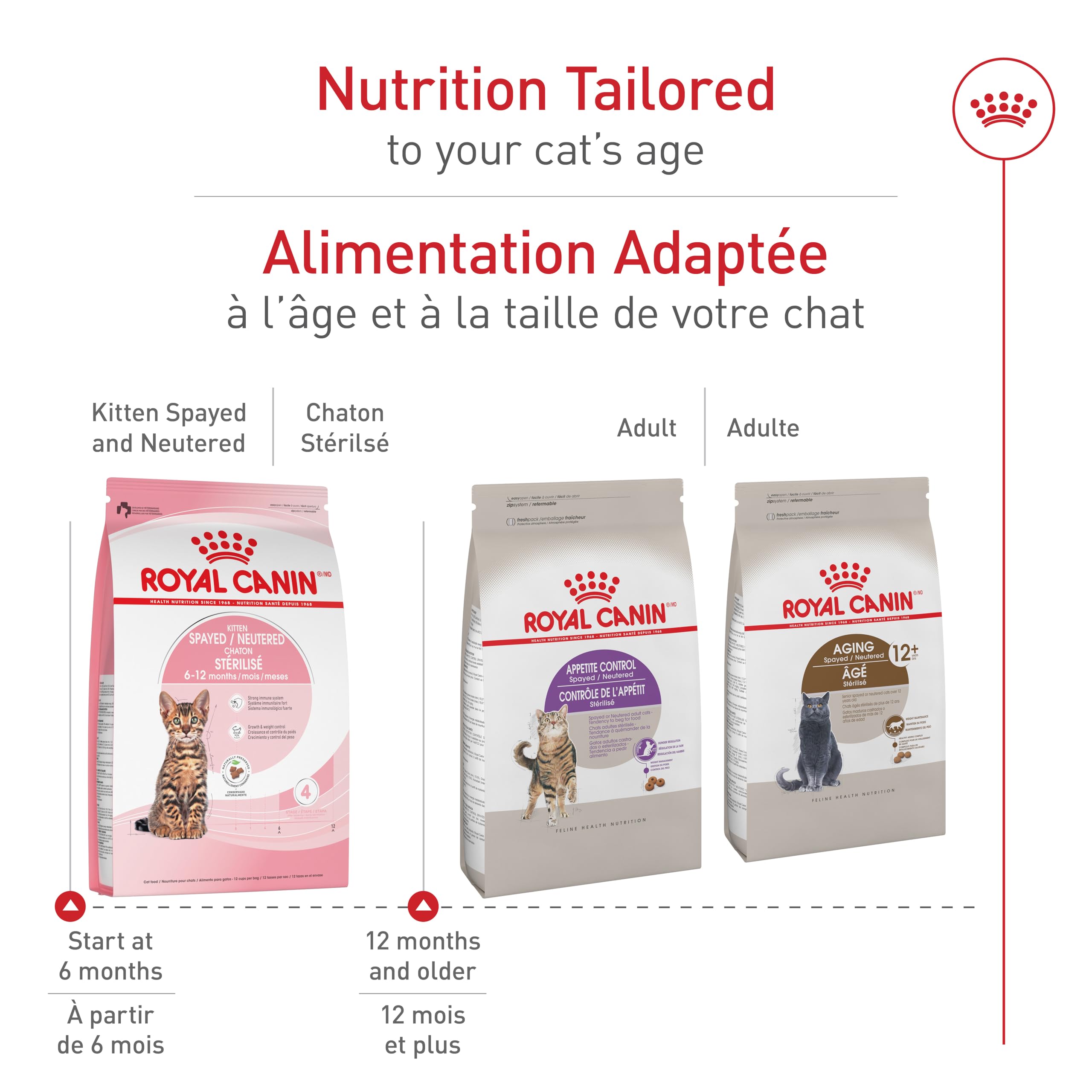 Royal Canin Feline Health Nutrition Kitten Spayed/Neutered Dry Cat Food, 2.5 lb Bag 🍁 All In One Marketplace Canada
