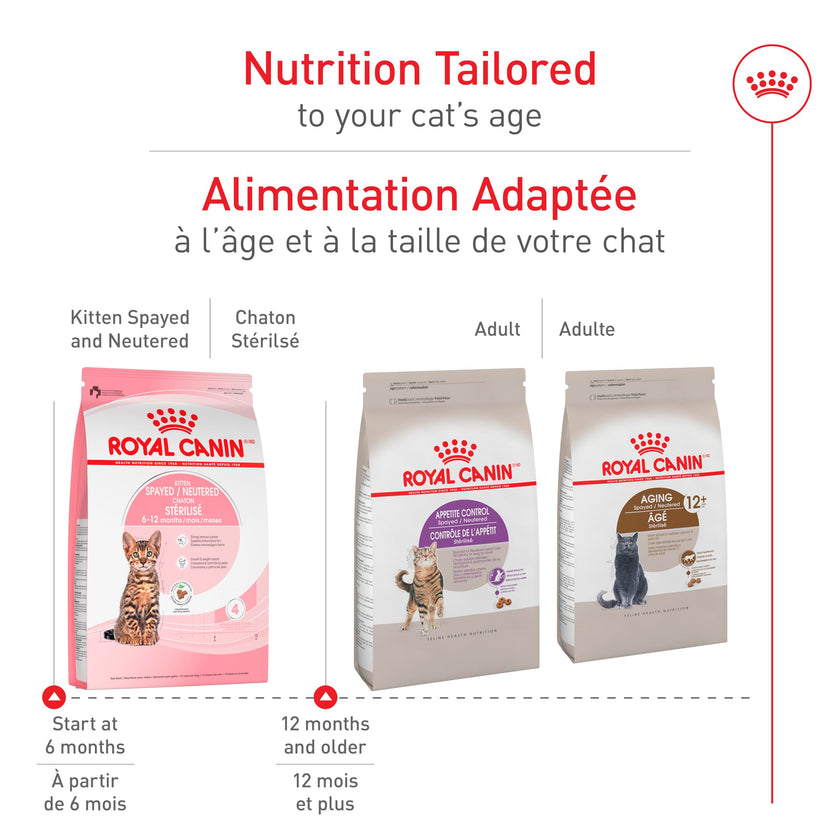 Royal Canin Feline Health Nutrition Kitten Spayed/Neutered Dry Cat Food, 2.5 lb Bag 🍁 All In One Marketplace Canada