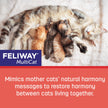 FELIWAY Friends Diffuser Refill Value Pack, Promotes harmony between cats in multi-cat households, VHP Registered NN.X7C2, includes 3 Refills, Lasts 90 Days, Cat Calming Pheromones, 3 x 48ml 🍁 All In One Marketplace Canada