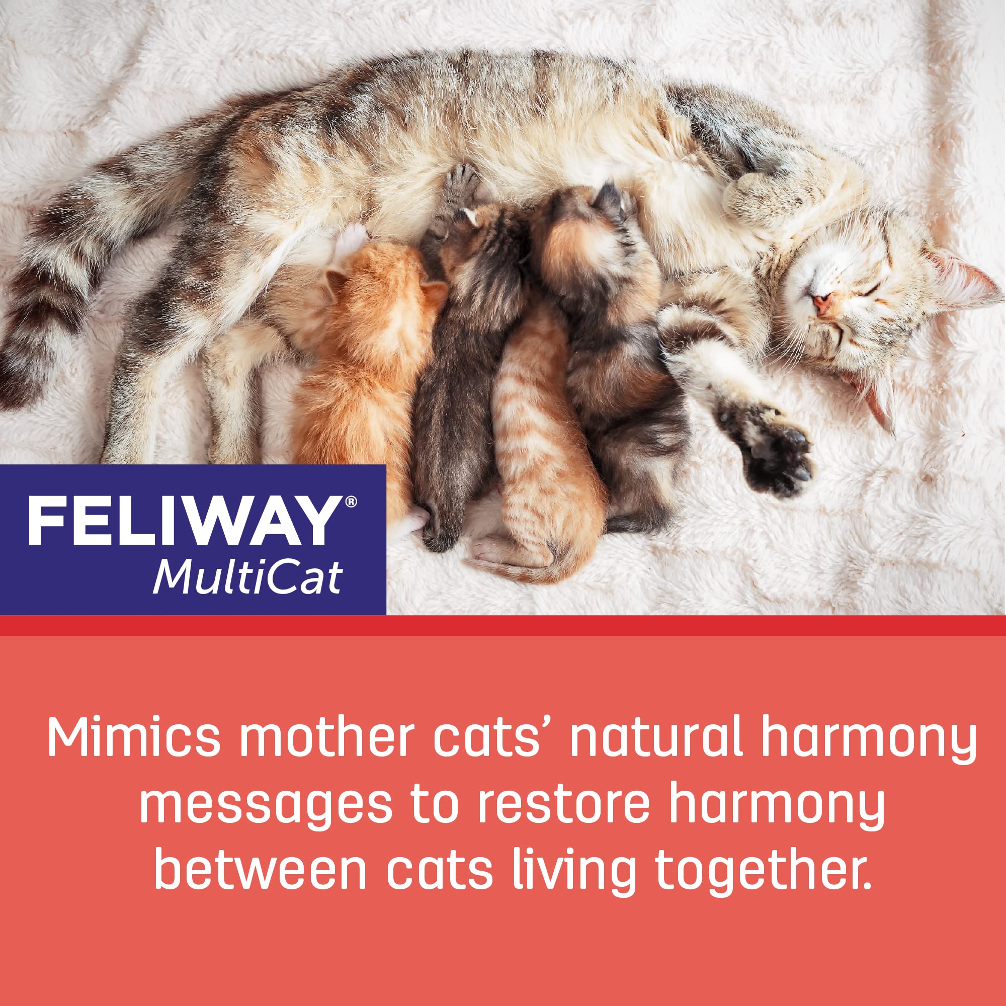 FELIWAY Friends Diffuser Refill Value Pack, Promotes harmony between cats in multi-cat households, VHP Registered NN.X7C2, includes 3 Refills, Lasts 90 Days, Cat Calming Pheromones, 3 x 48ml 🍁 All In One Marketplace Canada