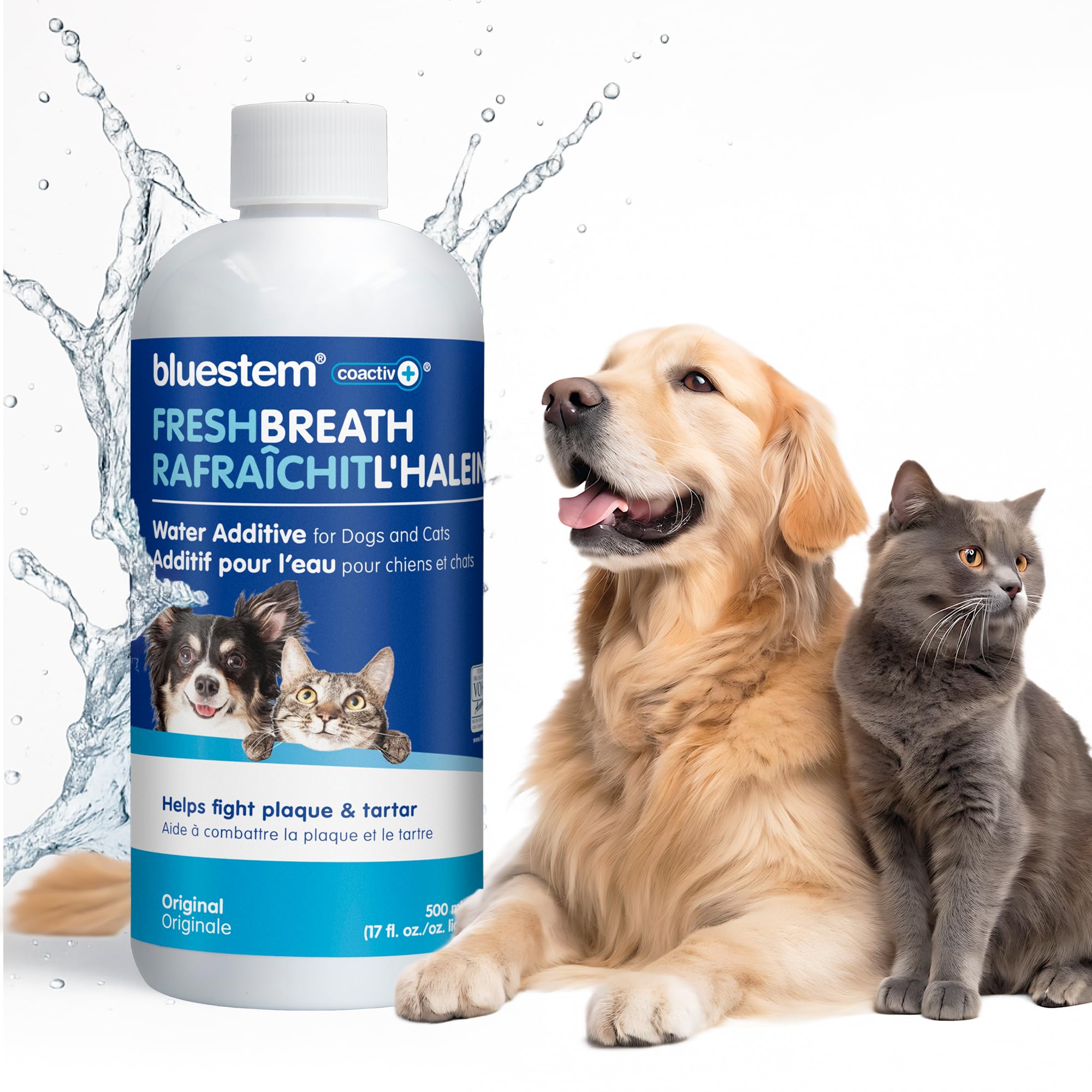 bluestem Dental Care Water Additive for Dogs & Cats – No Brushing Daily Teeth Cleaner – Pet Oral Rinse to Freshen Breath & Help Reduce Plaque – Flavorful & Easy Oral Hygiene (500 ml, Original) 🍁 All In One Marketplace Canada