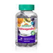Jamieson Ashwagandha Gummy, 3000 mg, 90 Citrus Grape Gummies, Helps Increase Resistance to Stress and Improve Memory. Non-GMO, No Artificial Colours, Flavours, or Preservatives, 60 Gummies 🍁 All In One Marketplace Canada