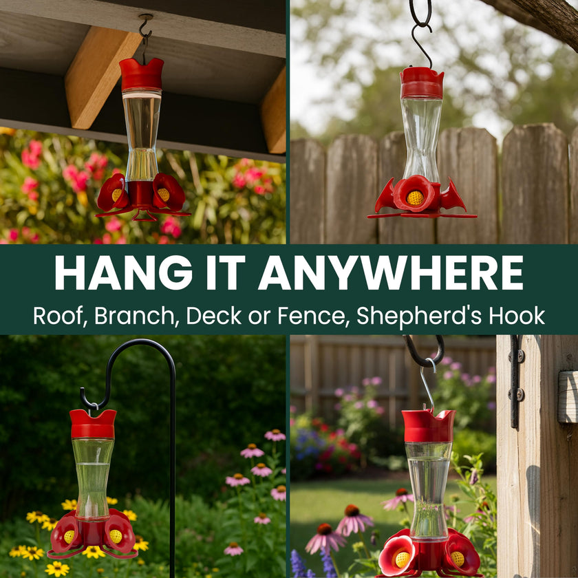 Perky-Pet 203CPBN Outdoor Pinch Waist Glass Garden Décor Hummingbird Feeder 🍁 All In One Marketplace Canada