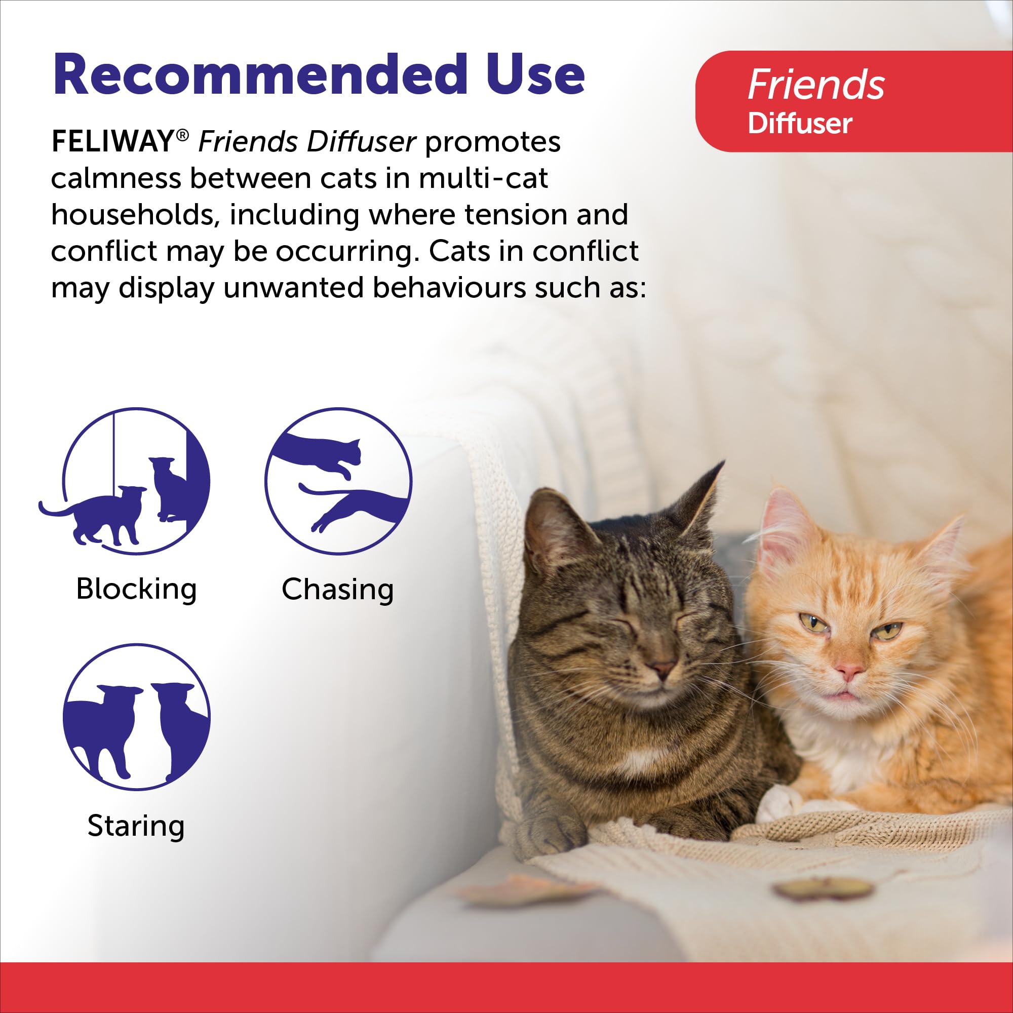 FELIWAY Friends Diffuser Refill Value Pack, Promotes harmony between cats in multi-cat households, VHP Registered NN.X7C2, includes 3 Refills, Lasts 90 Days, Cat Calming Pheromones, 3 x 48ml 🍁 All In One Marketplace Canada