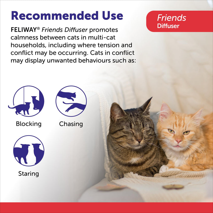 FELIWAY Friends Diffuser Refill Value Pack, Promotes harmony between cats in multi-cat households, VHP Registered NN.X7C2, includes 3 Refills, Lasts 90 Days, Cat Calming Pheromones, 3 x 48ml 🍁 All In One Marketplace Canada