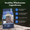 Blue Buffalo Wilderness Chicken Natural High-Protein Grain-Free Dry Food for Adult Indoor Cats, Antioxidant-Rich LifeSource Bits Support Immunity, Promotes Strong Muscles, 4.9kg/11 lbs. 🍁 All In One Marketplace Canada