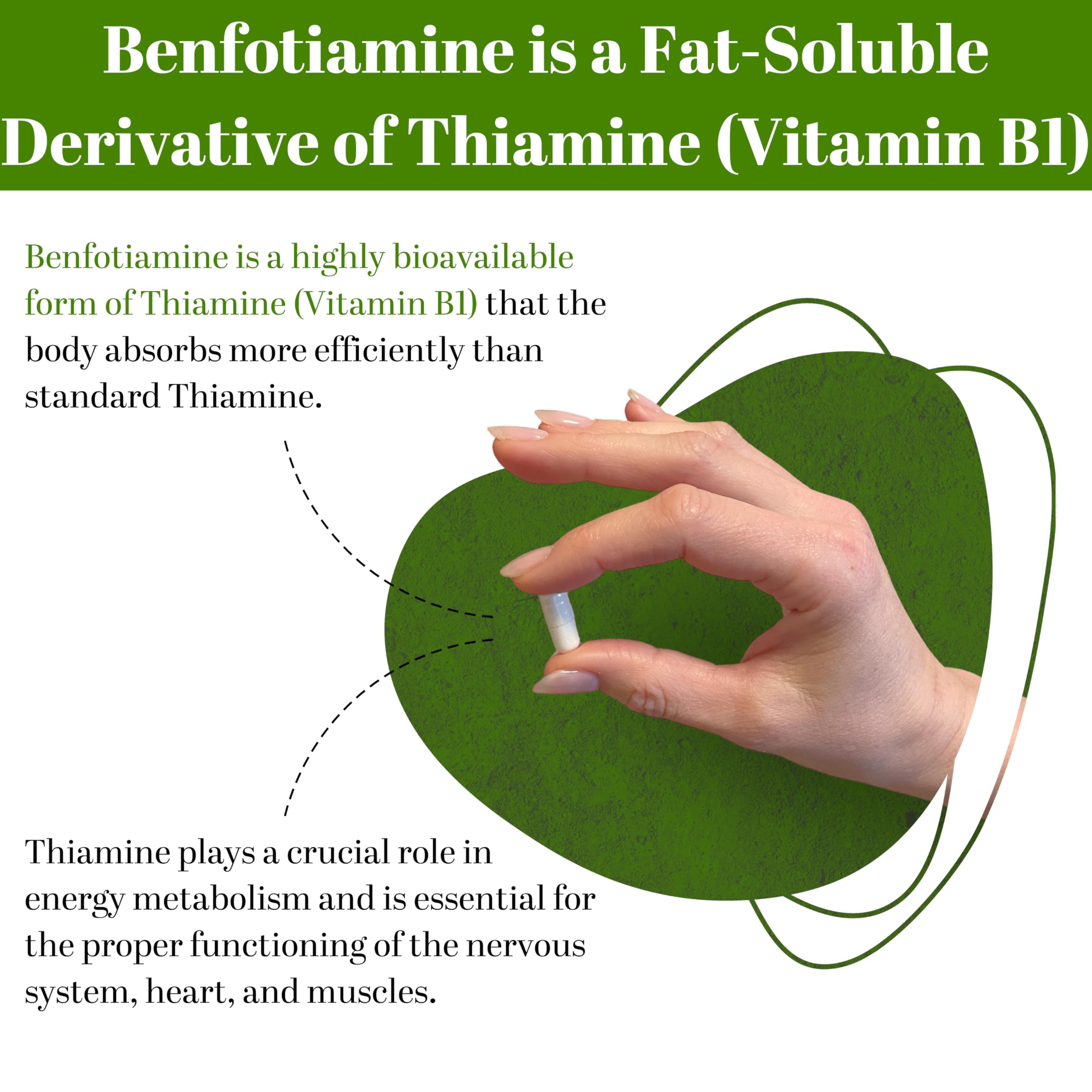 PUREFULLY Benfotiamine Vitamin B1/Thiamine 100mg, 120 Capsules - High Absorption Energy Support - Gluten Free, Non-GMO, Made in Canada 🍁 All In One Marketplace Canada