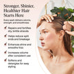 Kitsch Rice Water Shampoo Bar for Hair Growth – Strengthening Hair Shampoo for Men and Women – Reduce Breakage, Boosts Shine – Paraben, Silicone & Sulfate-Free, Vegan Hair Care - 91g 🍁 All In One Marketplace Canada