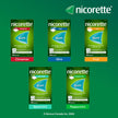 Nicorette Gum Smoking Cessation Product, Nicotine Replacement Therapy Aid for Adults, Doubles Quit Success, Spearmint Flavour, 2mg, 210 Pieces 🍁 All In One Marketplace Canada