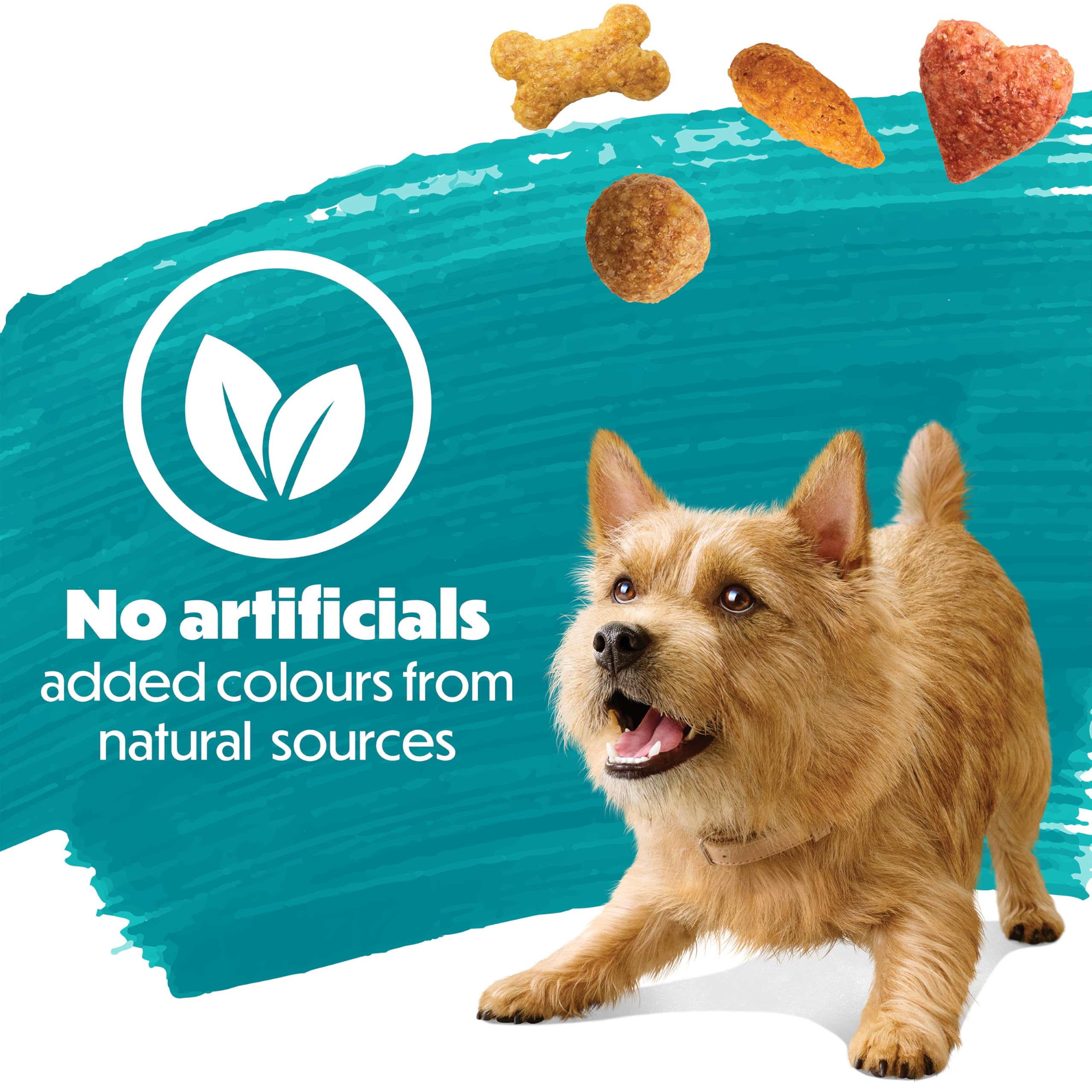 Beneful IncrediBites Dry Dog Food for Small Dogs, Real Beef - 7 kg Bag 🍁 All In One Marketplace Canada