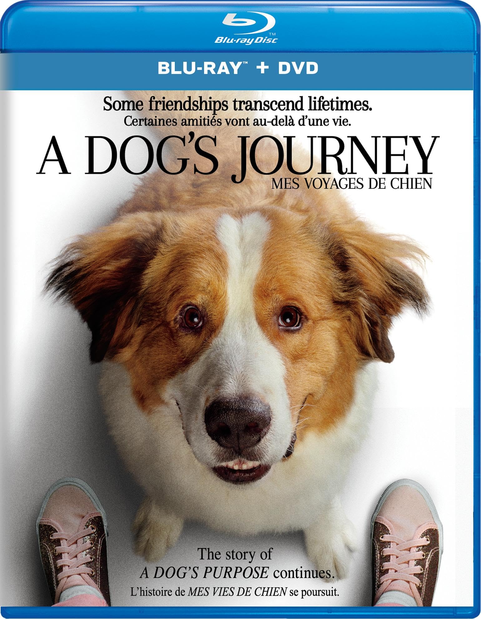 A Dog's Journey - Blu-ray/DVD (Used)