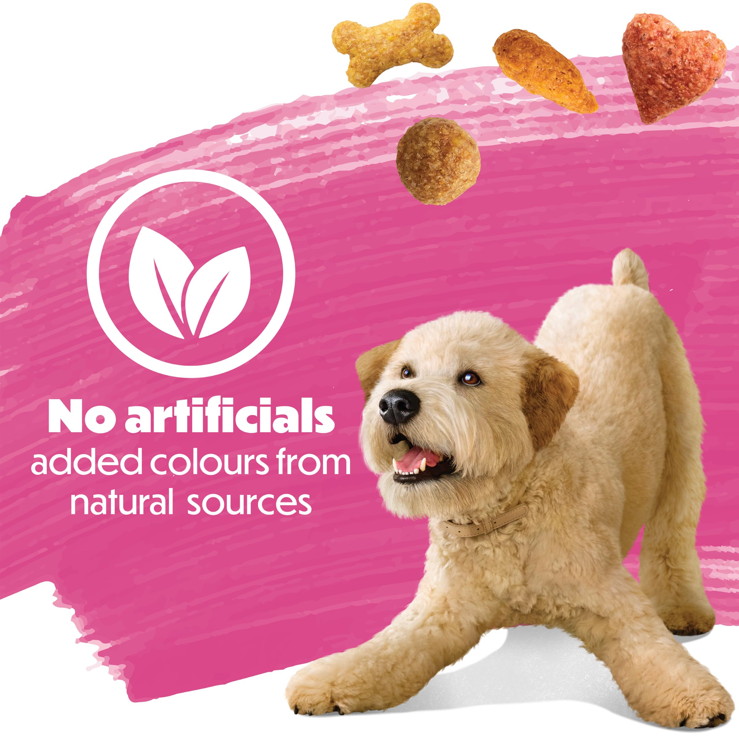 Beneful Originals Dry Dog Food, Real Salmon - 12.7 kg Bag 🍁 All In One Marketplace Canada