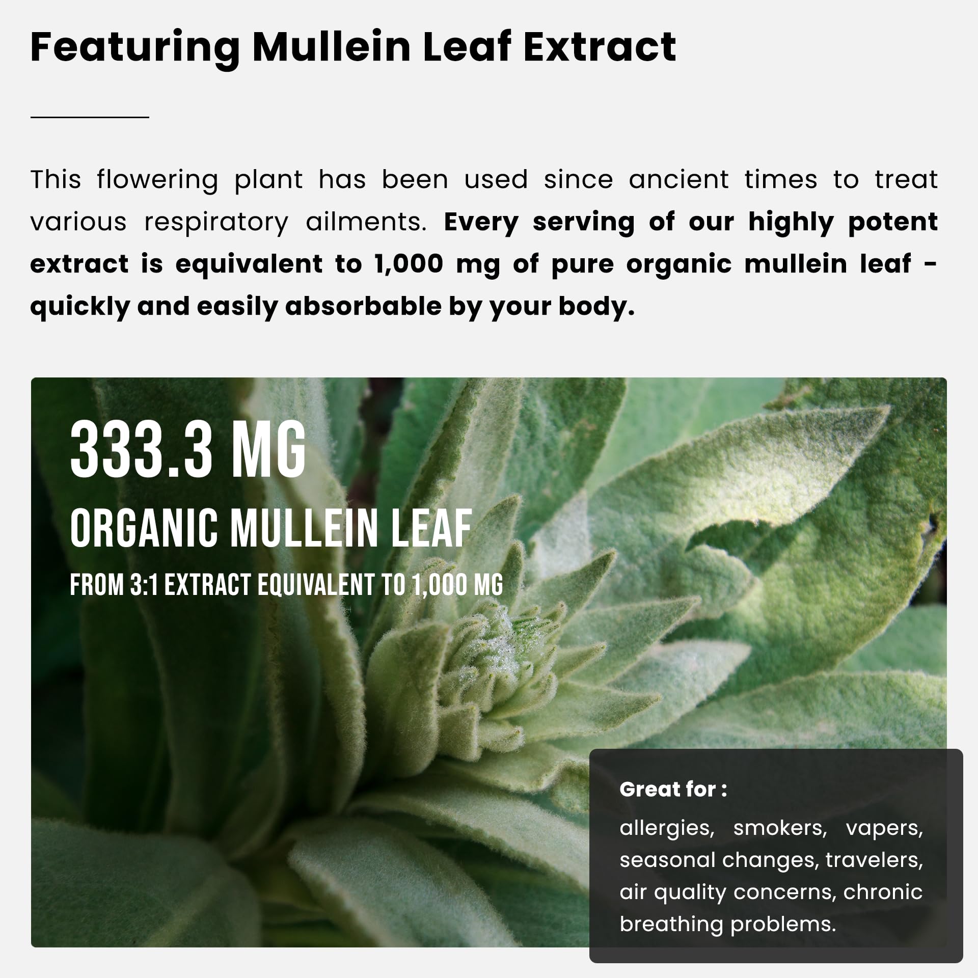 Organic Mullein Leaf Extract for Lungs - 4 Fl Oz - Herbal Tincture for Lung Cleanse & Flush - Natural Mullein Tea Alternative - Mullein Supplement Drops for Lungs - 1,000mg Equivalent Per Serving 🍁 All In One Marketplace Canada