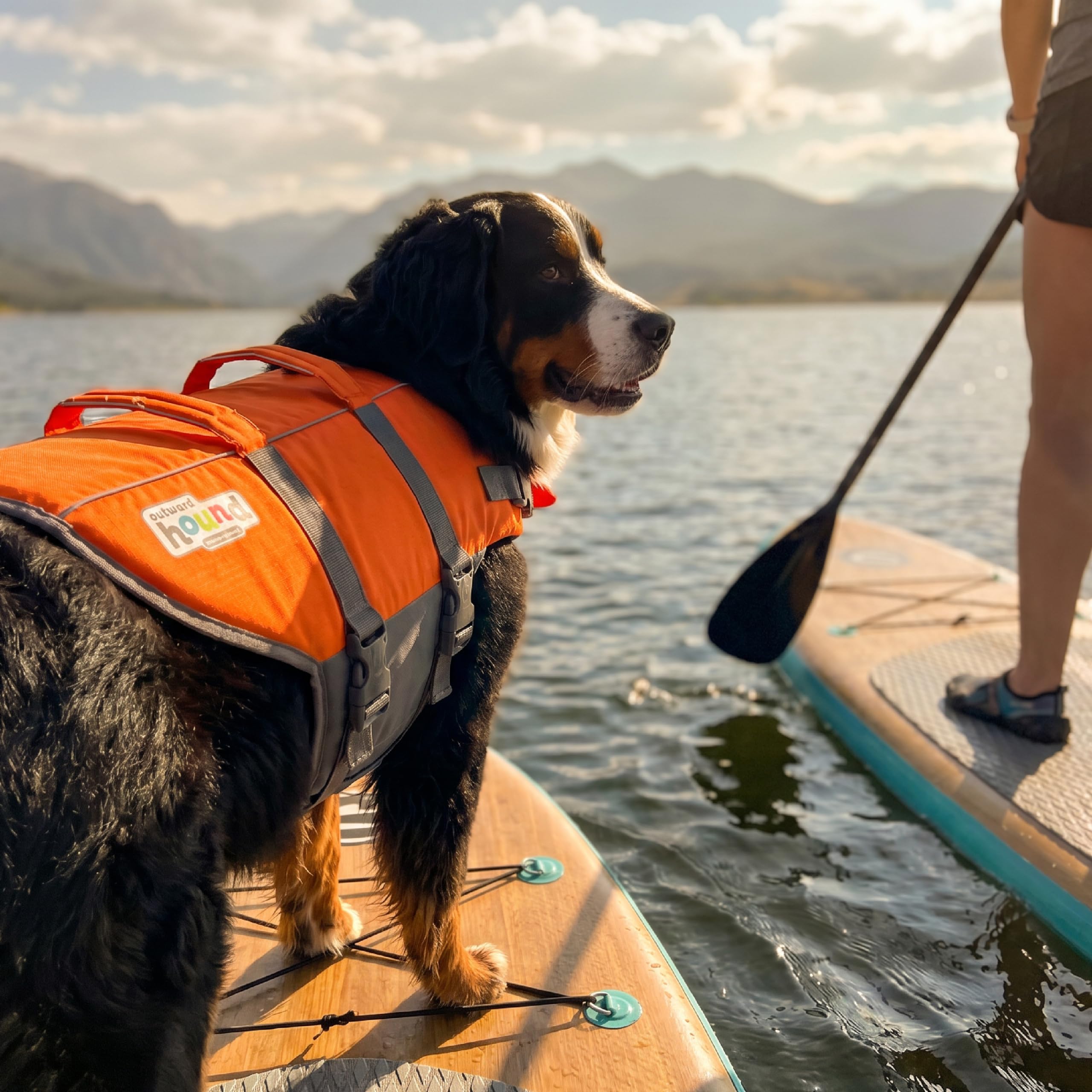 Outward Hound Granby Splash Dog Life Jacket with Handle, Reflective Floating Vest for Swimming & Boating, Maximum Buoyancy, All Skill Levels, Extra-Large Dogs (33–44